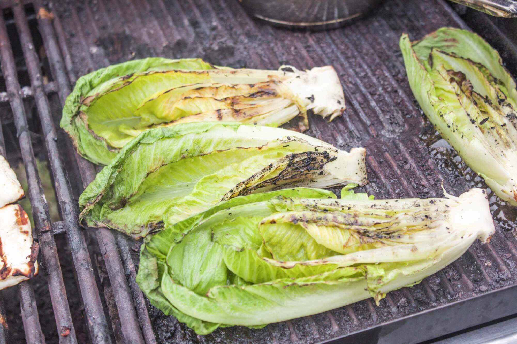 hjertesalat-opskrift