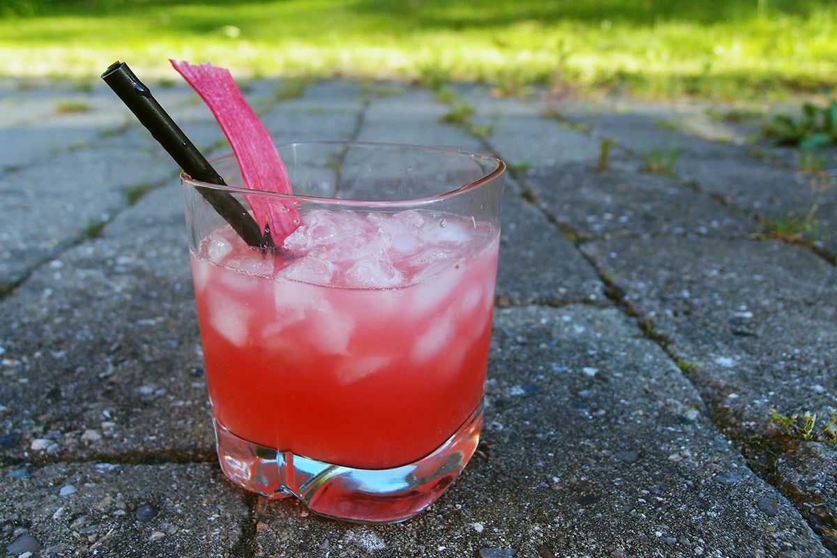 rabarbergin-opskrift