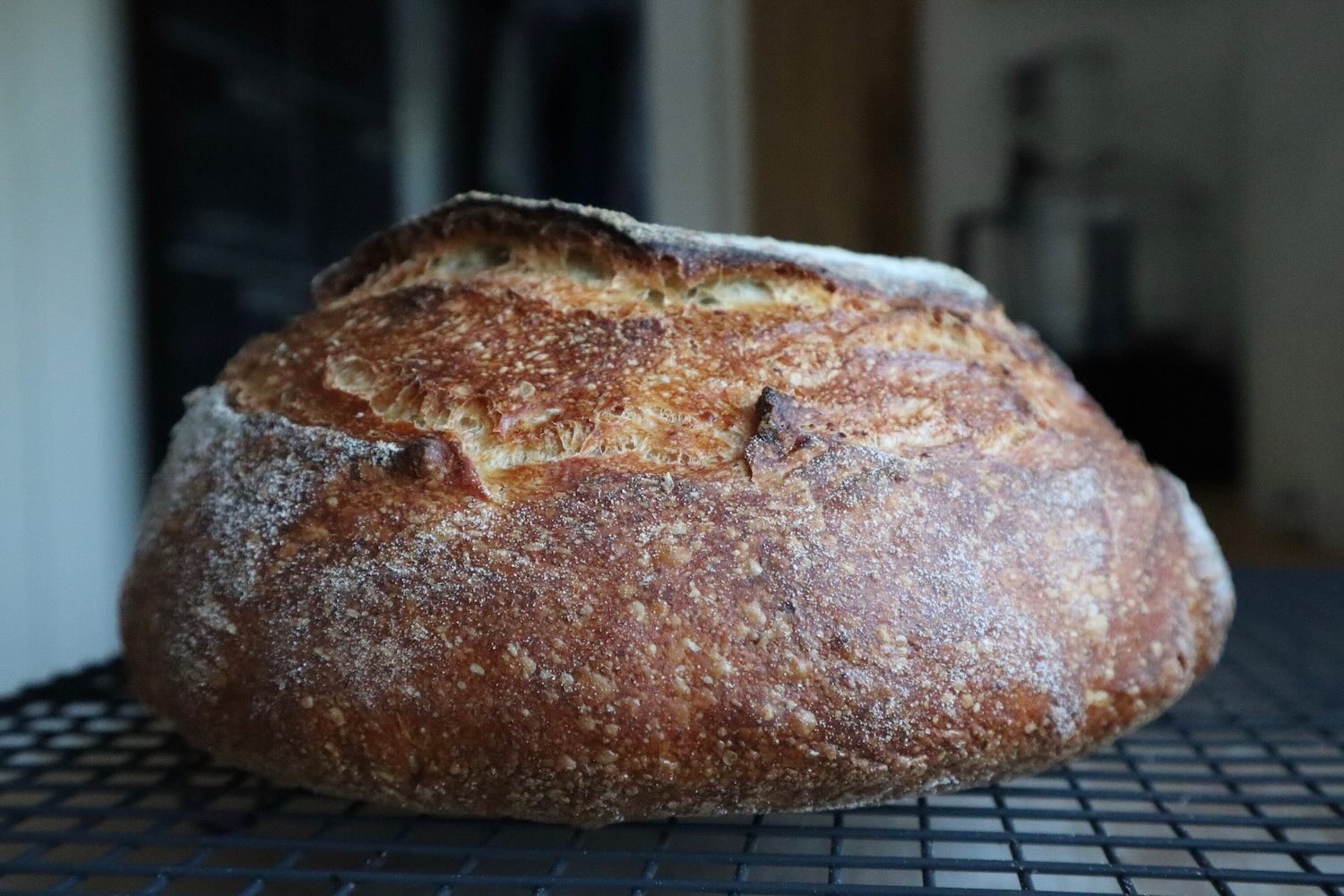 surdejsbroed-opskrift